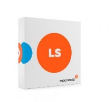 Macroscop LS (лицензия на работу с 1 IP - камерой)